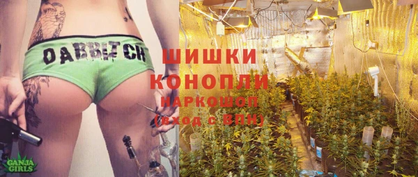 хмурый Горняк