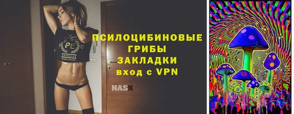 a pvp Горнозаводск