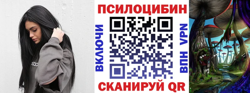 Галлюциногенные грибы мухоморы  где купить   Чекалин 